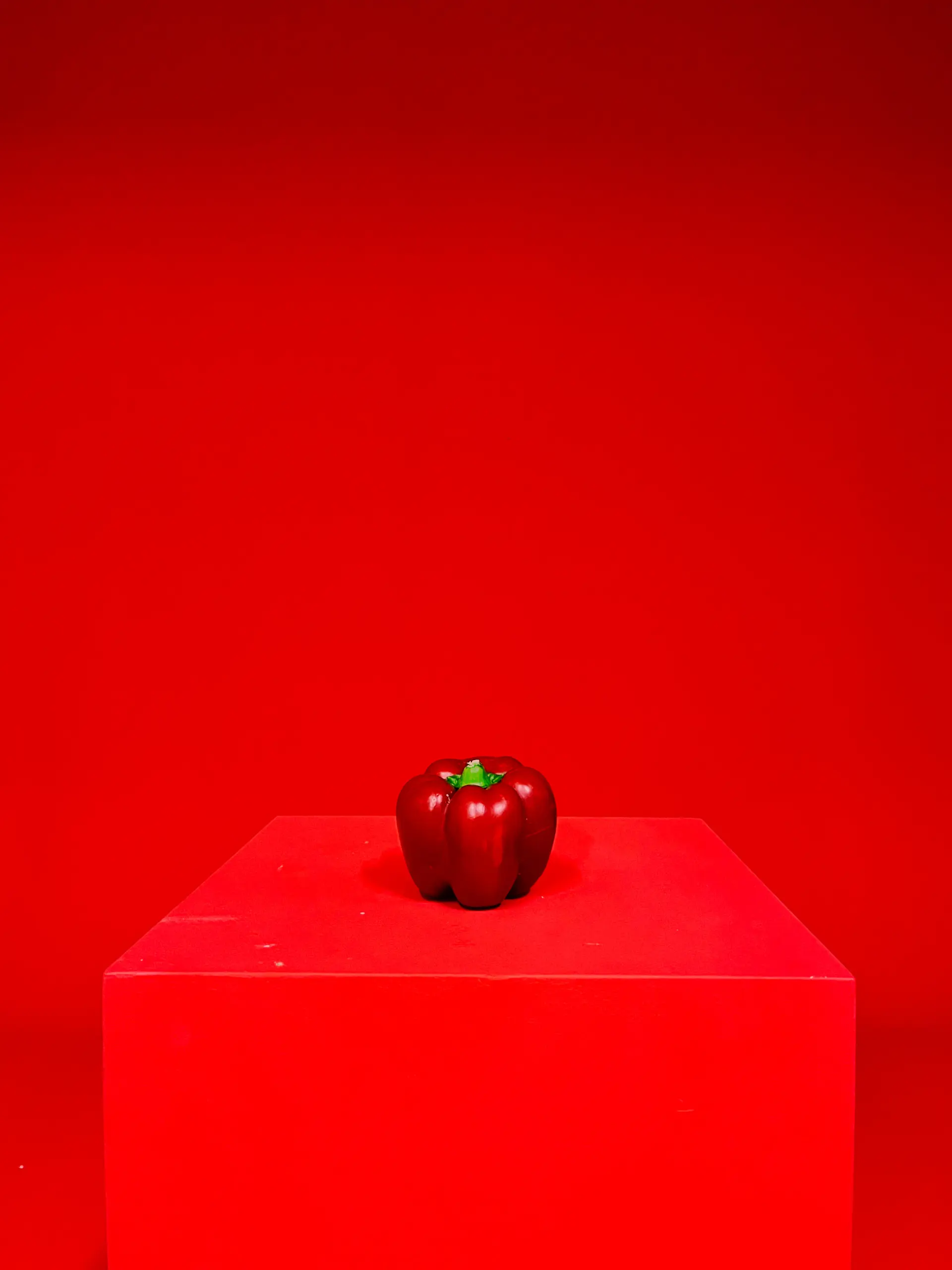 food photography of red pepper on red block with red backdrop, monochrome