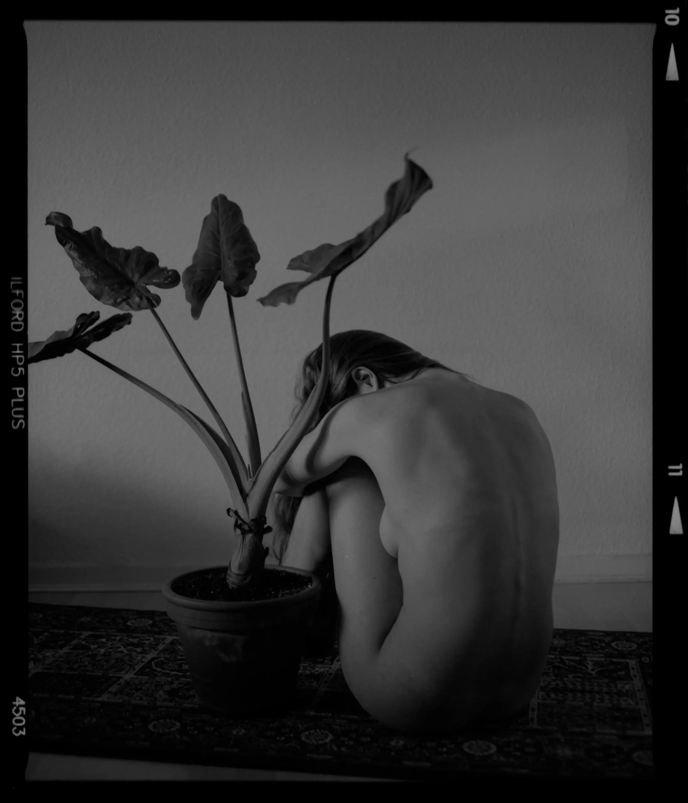 a nude art photo of a woman with a plant in black and white on medium format film