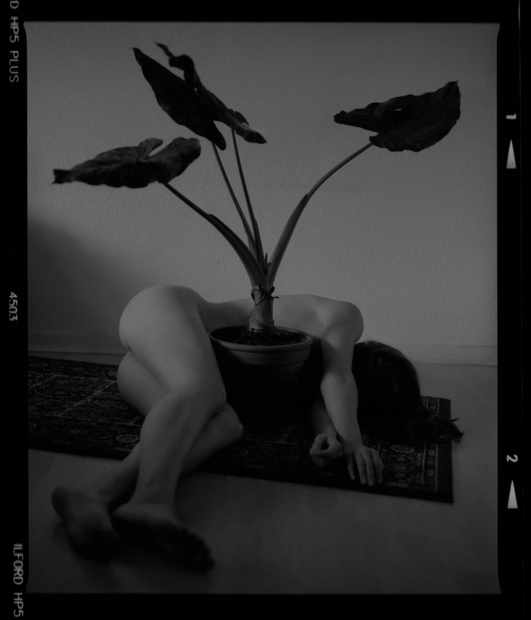 a nude art photo of a woman with a plant in black and white on medium format film
